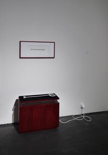 Do not touch the Object, electric cable, wood, velours, frame, pigment print, 55×30×75 cm, 2021